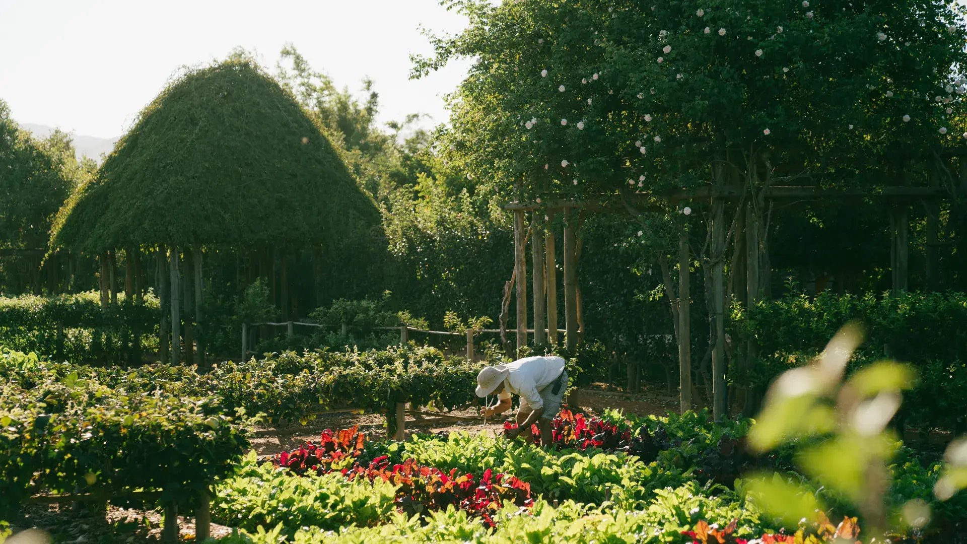 Babylonstoren_Reservest