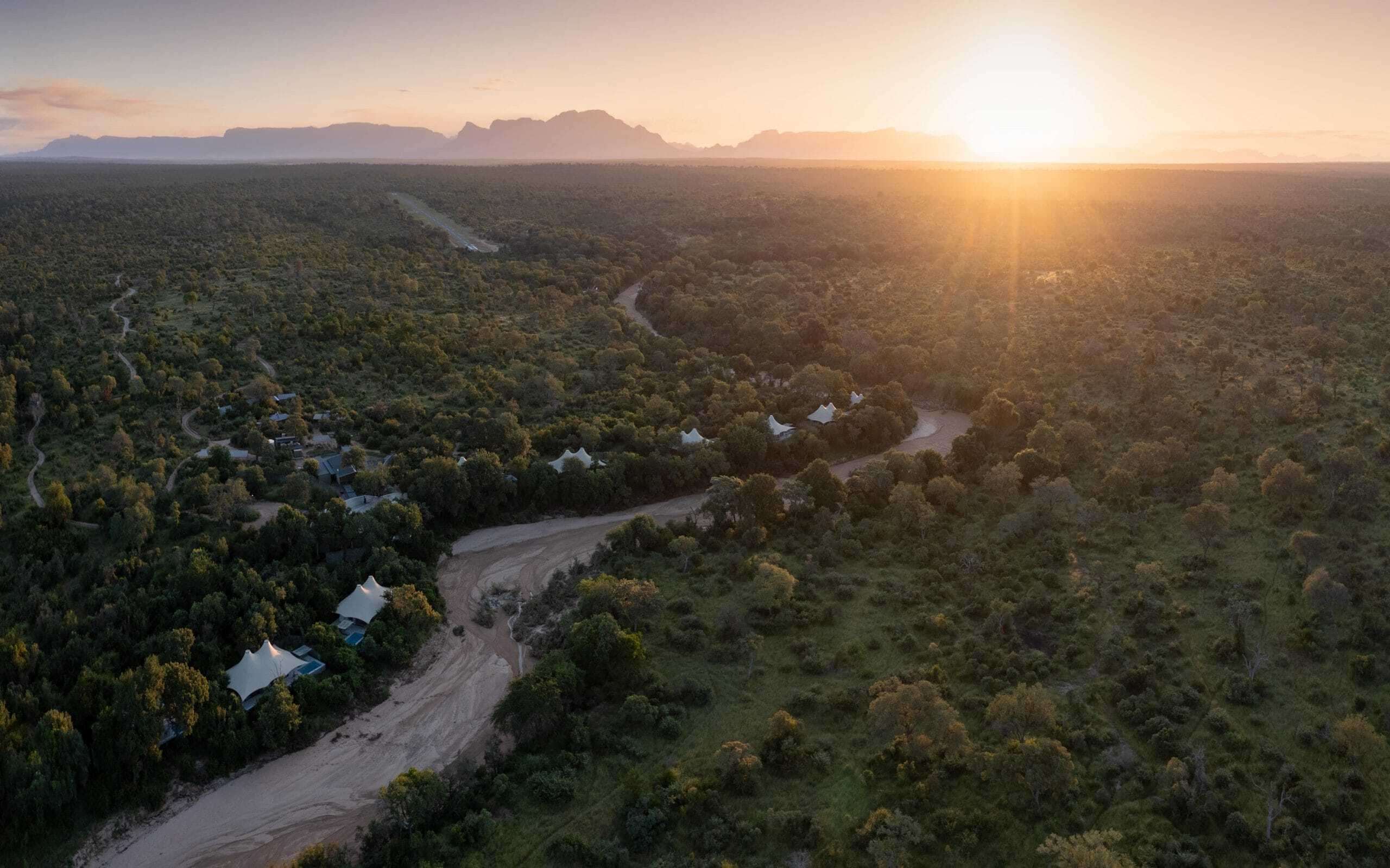 Thornybush