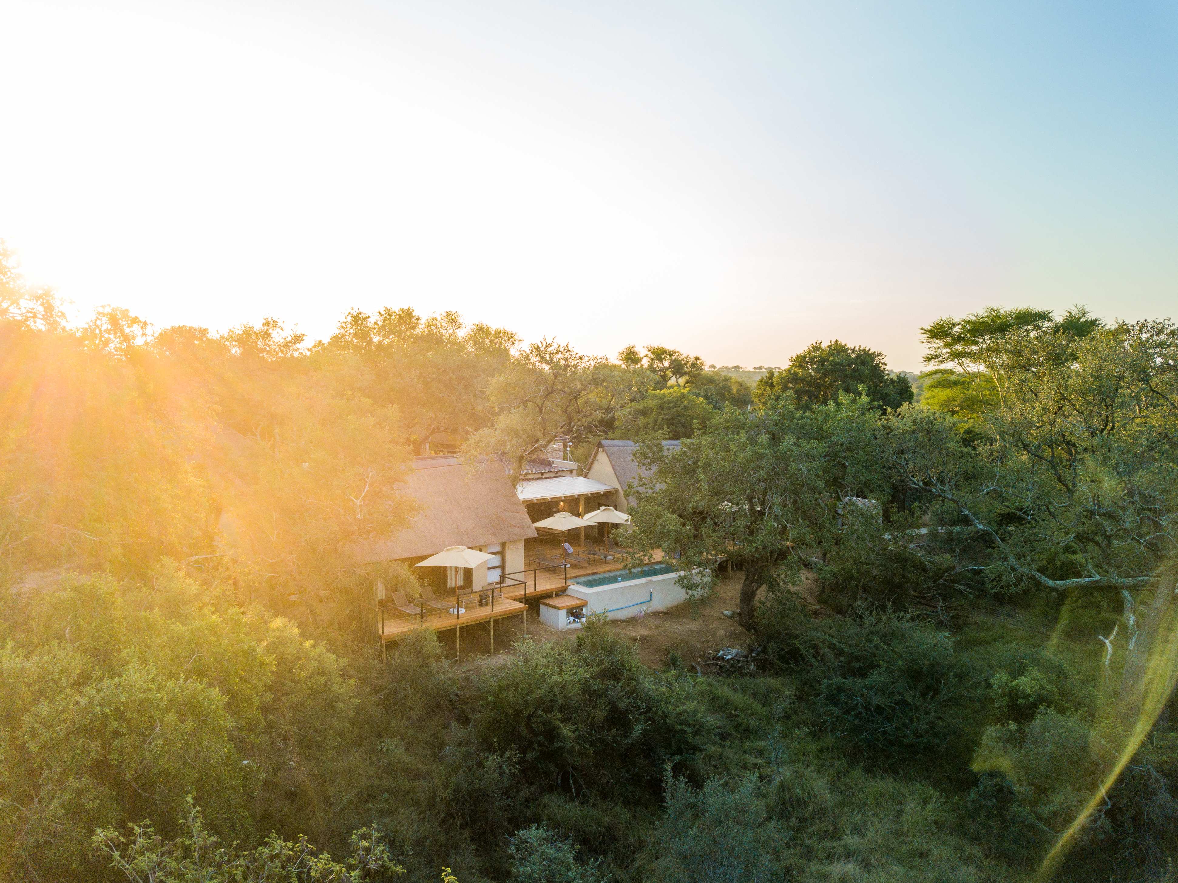 About the Brand: Why We Love Thornybush